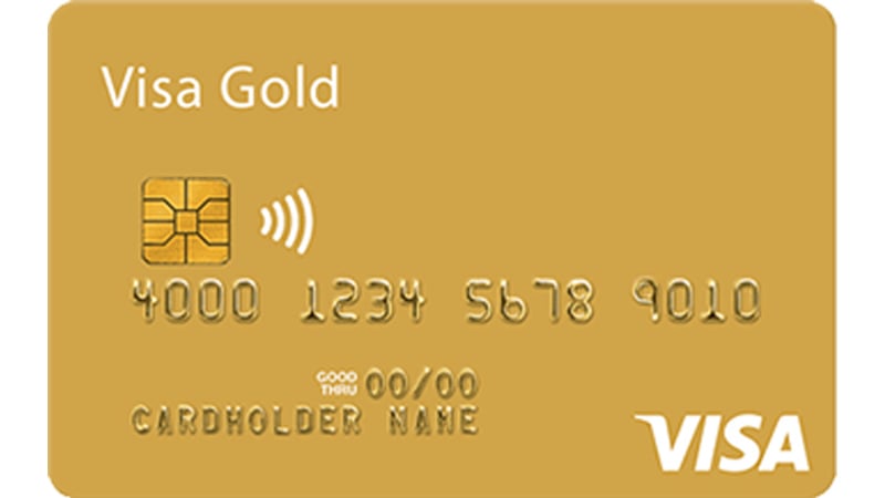 Conclusion: Achieving Success in Your Gold Card Application