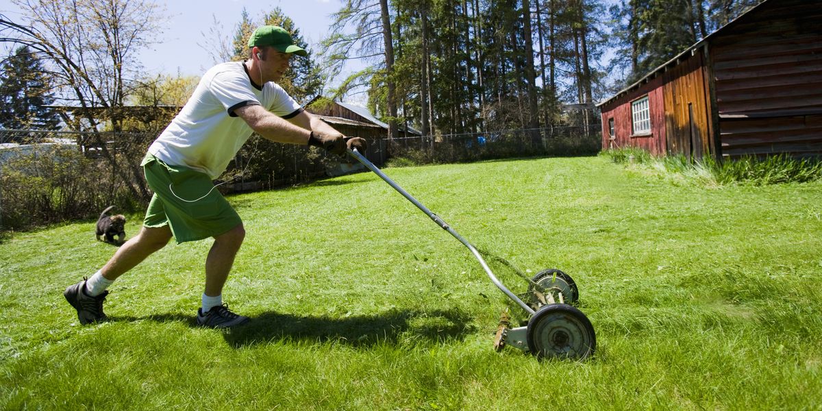 Is an Exmark Zero-turn Lawnmower Better than a Lawn Tractor?