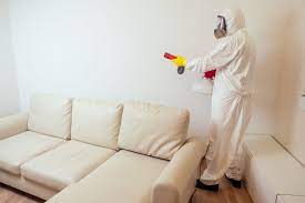 Are Pest Control Services Better than DIY?