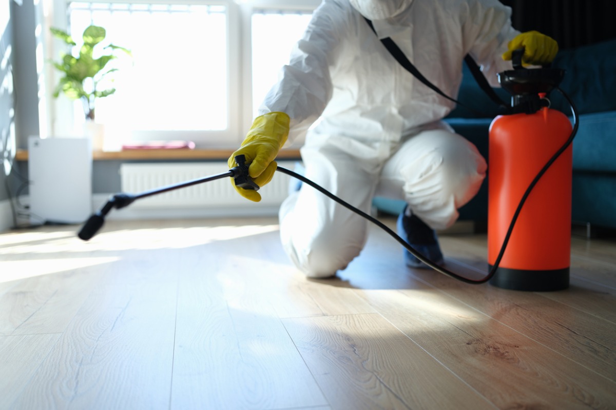 What are the Benefits of Pest Control & Management?
